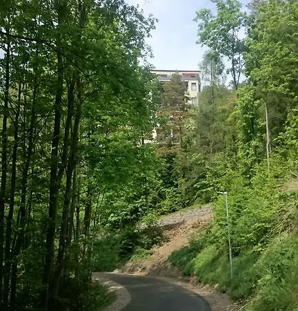 Apartment Studio-apartment Semmering